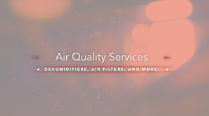 Fall Humidity Issues & How to Solve Them