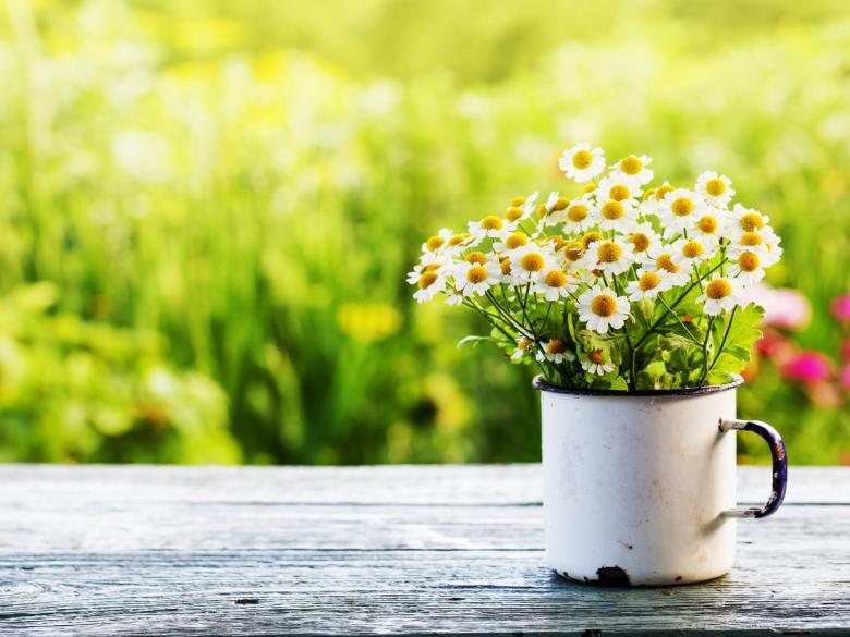 Spring 2019 Trane Unstoppable Event Promotion Anchor Heating and Air Spring flowers in a tin cup