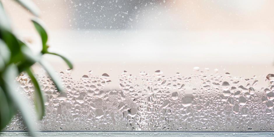 Window with moisture on it showing humidity in house