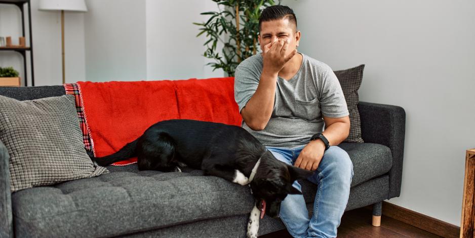man at home with dog on couch plugging nose to block bad smell