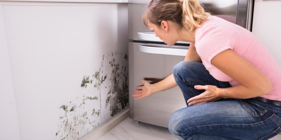 woman gesturing to mold on the wall